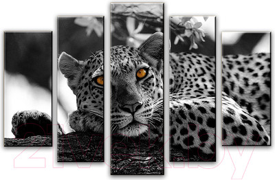 Картина модульная Arthata 5m-139 (160x90)