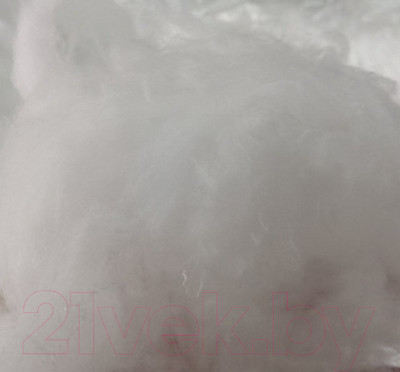 Наполнитель для домашнего текстиля Delford Искусственный лебяжий пух ПЭ / НП-100-05 (0.5кг)