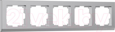 Рамка для выключателей и розеток Werkel W0051806 / a050907 (серебристый)
