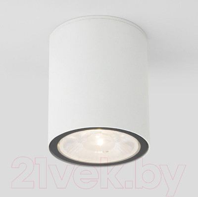 Светильник уличный Elektrostandard Light 2103 35131/H (белый)