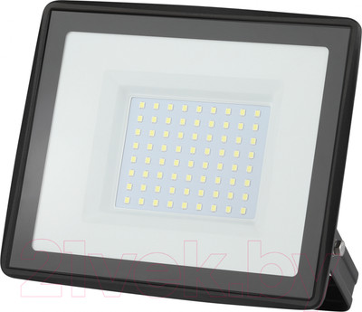 Прожектор ЭРА LPR-023-0-65K-100 / Б0052026