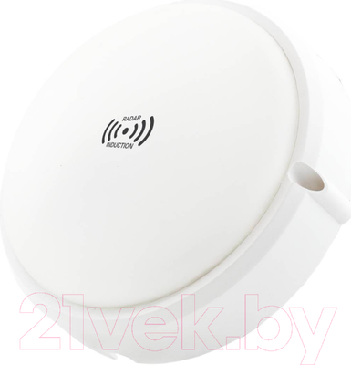 Светильник ЖКХ Glanzen RPD-0013-15