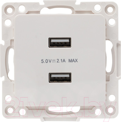 Розетка EKF PROxima Стокгольм EYR16-028-10-2USB (белый)
