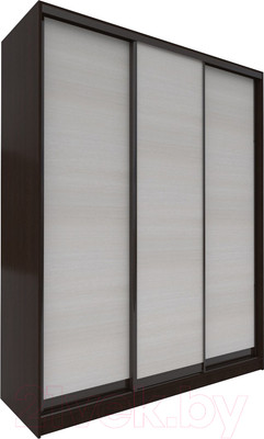 Шкаф-купе Евва 176 VHG.13 / АЭП ШК.3 03 (венге/дуб шамони светлый/венге глянец)