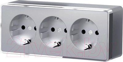 Розетка Werkel Gallant W5073106 / a052777 (серебристый)