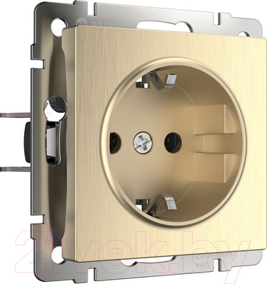 Розетка Werkel W1171010 / a051434 (шампань рифленый)