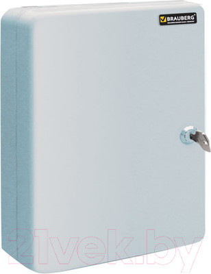 Ключница металлическая Brauberg 290337 (20x16x8, серый)