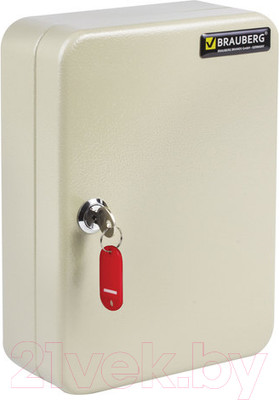 Ключница металлическая Brauberg 290338 (25x18x8, серый)