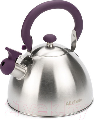 Чайник со свистком Attribute Festival ASS309
