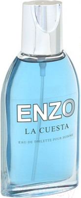 Туалетная вода Positive Parfum Enzo La Cuesta (95мл)