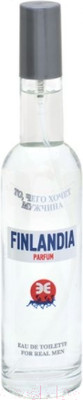 Туалетная вода Positive Parfum То, Чего Хочет Мужчина Finlandia Parfum (100мл)