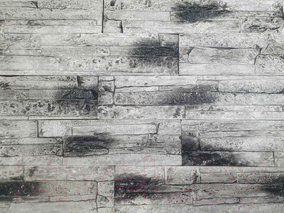 Декоративный камень гипсовый РуБелЭко Таллин 3 Т3сер Виброформованный (серый)