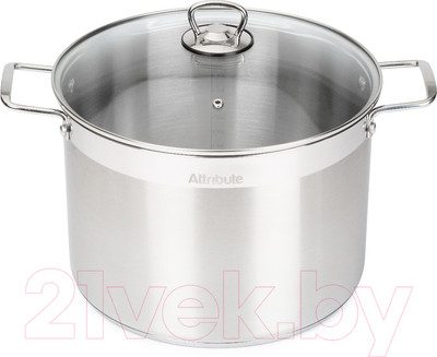 Кастрюля Attribute Master Chef ASM012