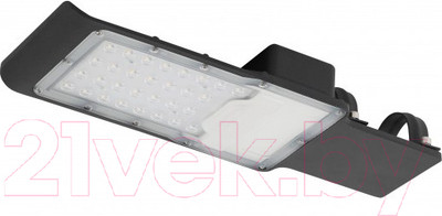 Светильник уличный ЭРА SPP-503-0-30K-080 / Б0051837