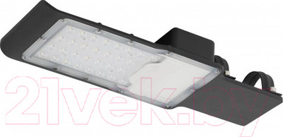 Светильник уличный ЭРА SPP-503-0-30K-100 / Б0051838