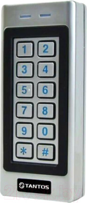 Кодонаборная панель Tantos TS-KBD-EM-IP66 Metal
