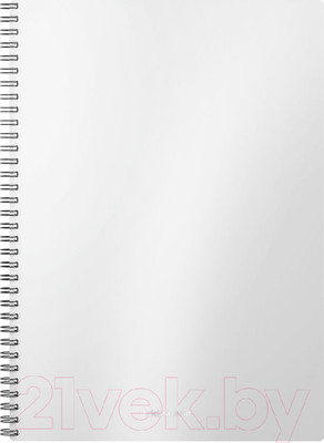 Тетрадь Erich Krause Candy / 54169 (80л, клетка)