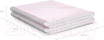 Тетрадь Erich Krause Candy / 54111 (80л, клетка)