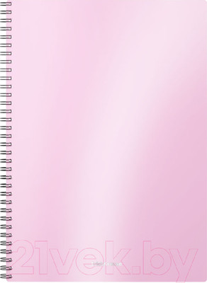 Тетрадь Erich Krause Candy / 54110 (80л, клетка)