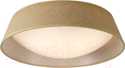 Потолочный светильник Mantra Sabina 6413