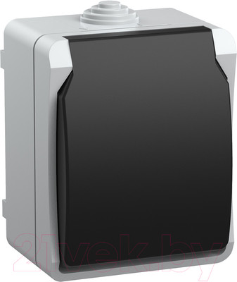 Розетка IEK Форс ERS12-K03-16-54-DC