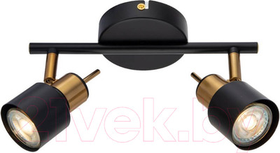 Спот Arte Lamp Almach A1906PL-2BK