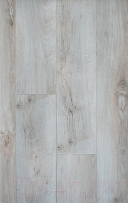 Ламинат Kastamonu Cherry Дуб Глостер (CHR33CV-FP453)