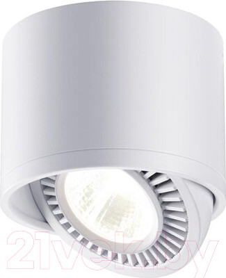 Потолочный светильник Novotech Gesso 358813