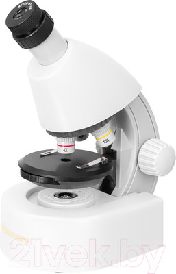 Микроскоп оптический Levenhuk Discovery Micro Polar с книгой / 77952