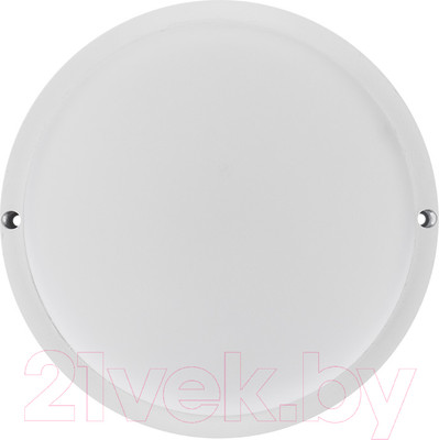 Светильник ЖКХ Rexant 607-208