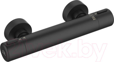 Смеситель Laveo Pretto BAO74TD