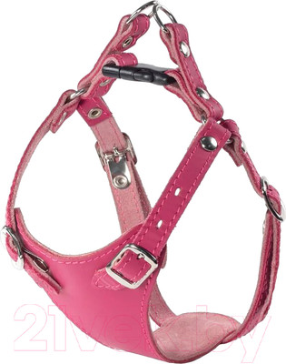 Шлея Gamma Белла 11332007