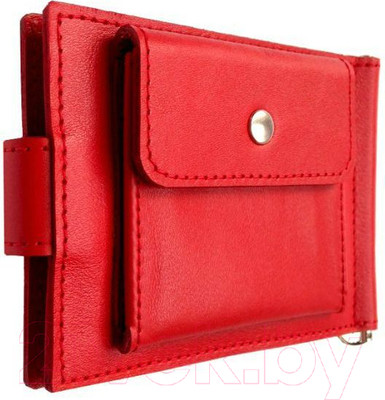 Зажим для денег Ezcase City Standart Pro / C17.3 (красный)