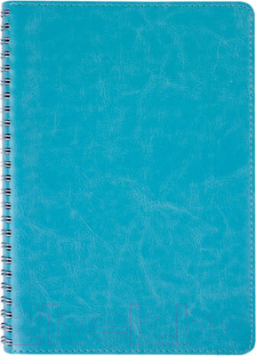 Блокнот Brauberg Office Pro / 111043 (бирюзовый)