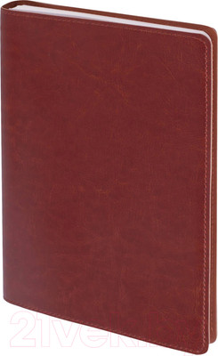 Блокнот Brauberg Office Pro / 111044 (коричневый)
