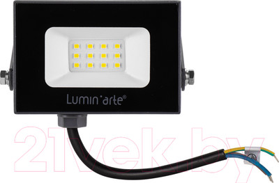 Прожектор LuminArte LFL-10W/05