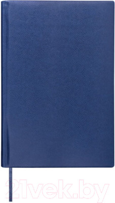 Ежедневник Brauberg Iguana / 125091 (темно-синий)