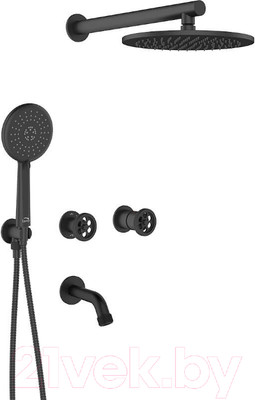 Душевая система со смесителем Laveo Muro BAU711P