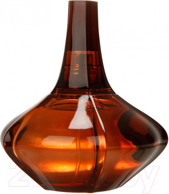 Парфюмерная вода Calvin Klein Obsession Secret (100мл)