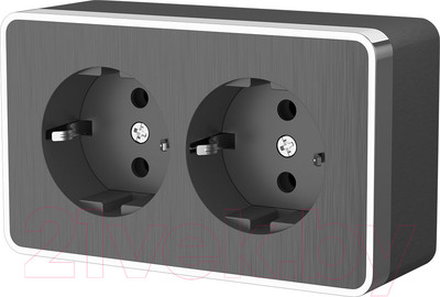 Розетка Werkel Gallant W5072104 / a051342 (графит рифленый)