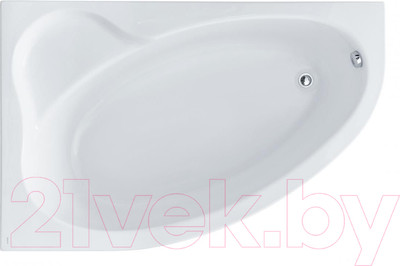 Ванна акриловая Santek Эдера 170x100 L (с каркасом и экраном)