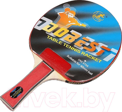 Ракетка для настольного тенниса Do Best BR01 (1 звезда)