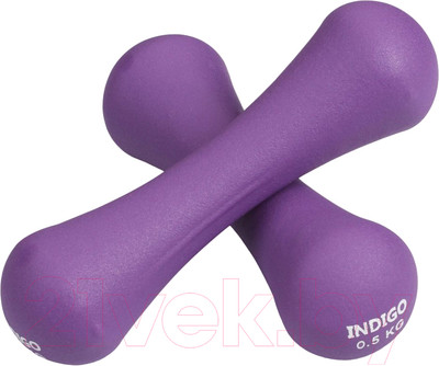 Набор гантелей Indigo Sport IN234 (2x1кг, фиолетовый)