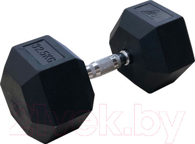 Набор гантелей DFC DB001-32.5 (2шт)