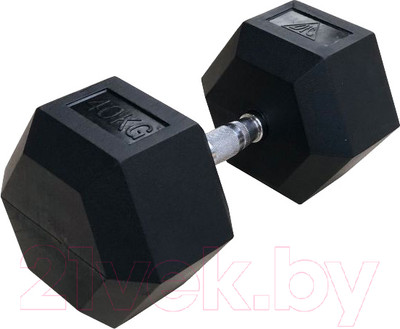 Набор гантелей DFC DB001-40 (2шт)