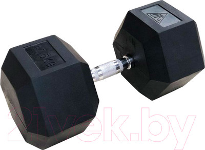 Набор гантелей DFC DB001-47.5 (2шт)