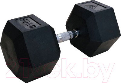 Набор гантелей DFC DB001-50 (2шт)