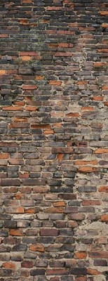 Фотообои листовые Citydecor Кирпичи 3D (100x254)