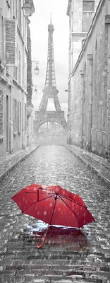 Фотообои листовые Citydecor Красный зонт (100x254)