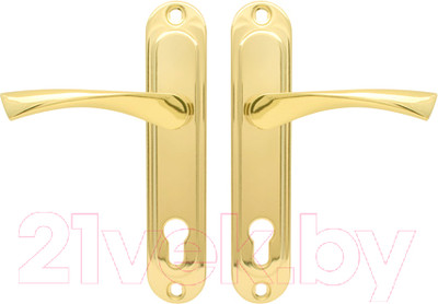 Ручка дверная Avers HP-85.0123-G (золото)